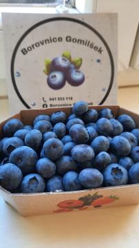 Borovnice Gomilšek 2